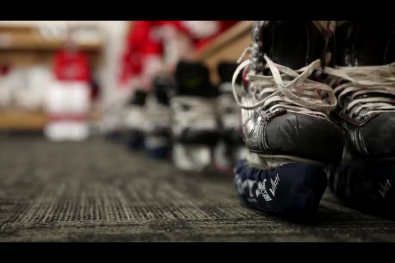 nhl skate guards